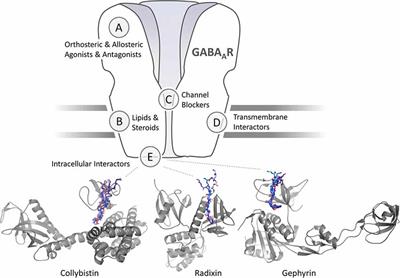 Targeting GABAAR-Associated Proteins: New Modulators, Labels and Concepts